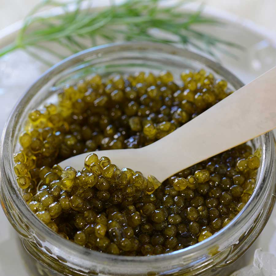 Emperior Osetra Russian Caviar Amber Photo [4]